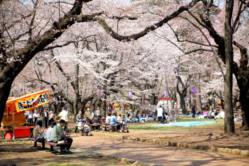 Hanami